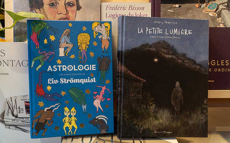 Saint-Nazaire : les idées lecture de L’Oiseau Tempête pour la Fête des Mères