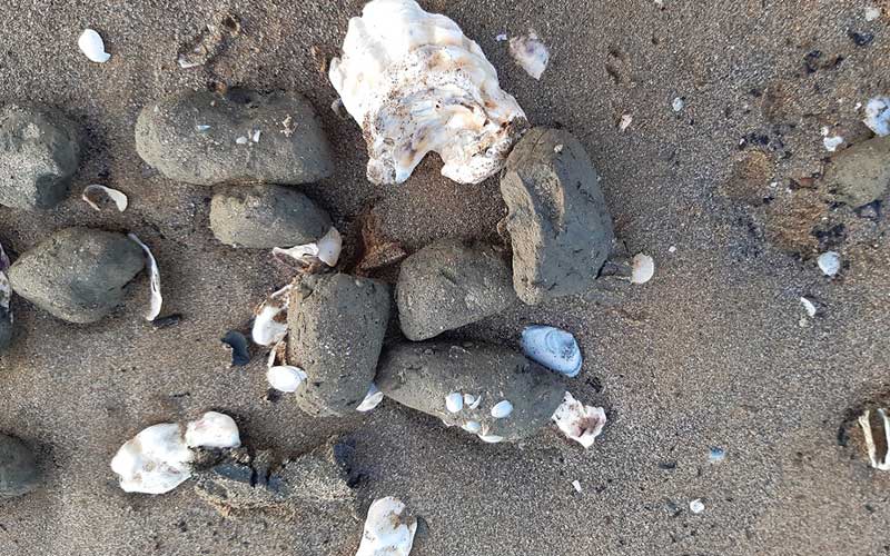 Saint-Nazaire : des boulettes suspectes trouvées sur la plage