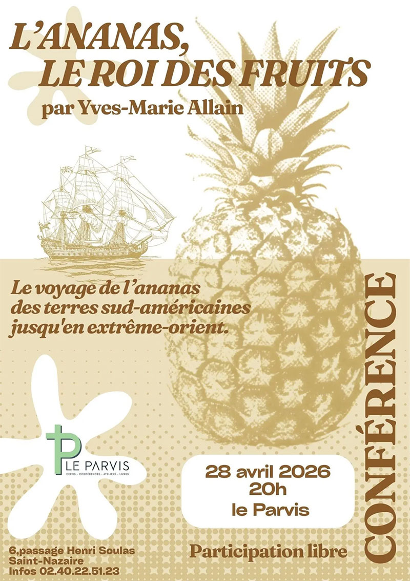 L’ananas le roi des fruits