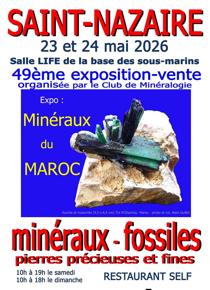 Minéraux et fossiles