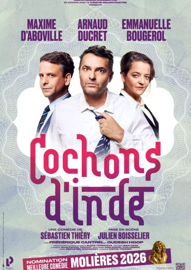 Cochons d’Inde