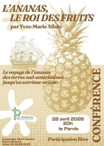 L’ananas le roi des fruits