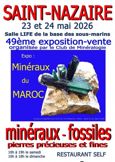 Minéraux et fossiles