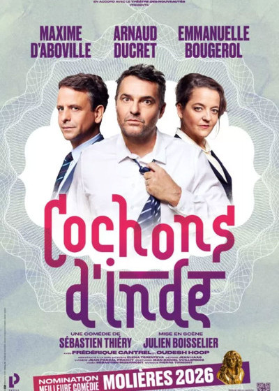 Cochons d’Inde