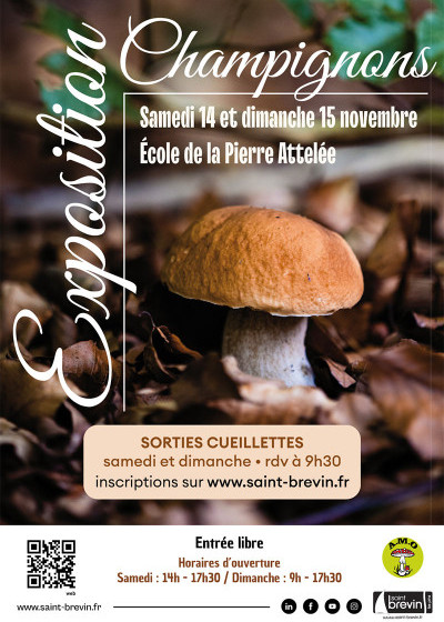 Exposition de champignons