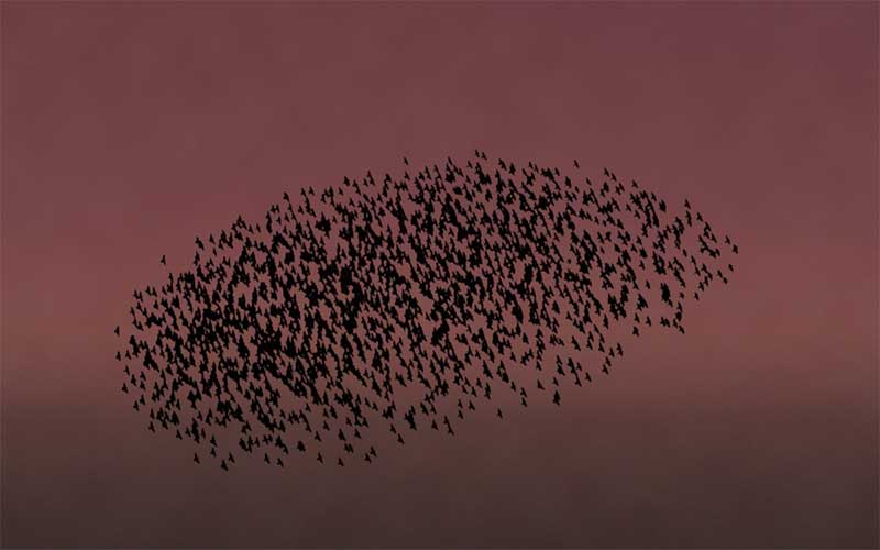 Saint-Nazaire : des tirs de fusées détonnantes dans plusieurs rues de la ville