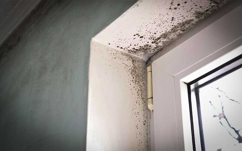 Saint-Nazaire : Histologe, une plateforme pour signaler ses problèmes de mal-logement