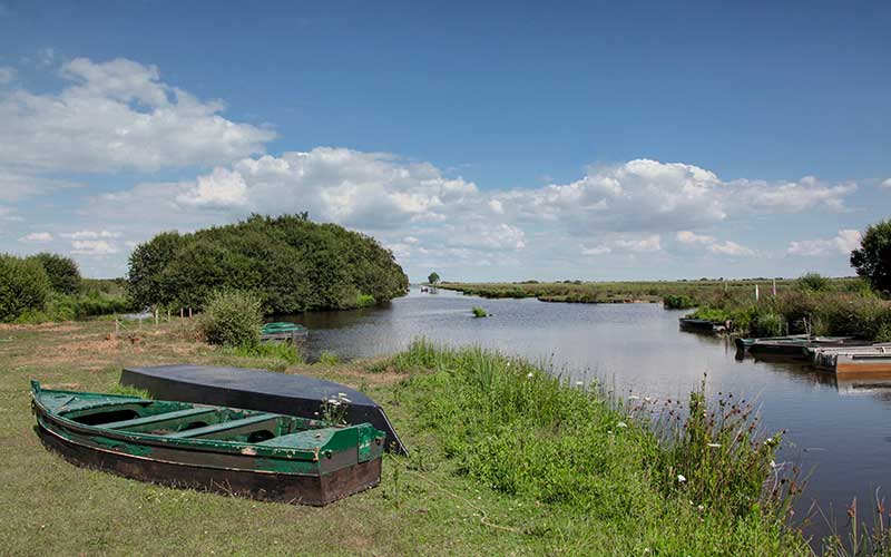 Parc de Brière : appel à manifestation d’intérêt pour animer les rendez-vous du parc