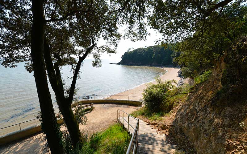 Saint-Nazaire : des vacances au bord de la mer pour les familles de l’APEI Ouest 44