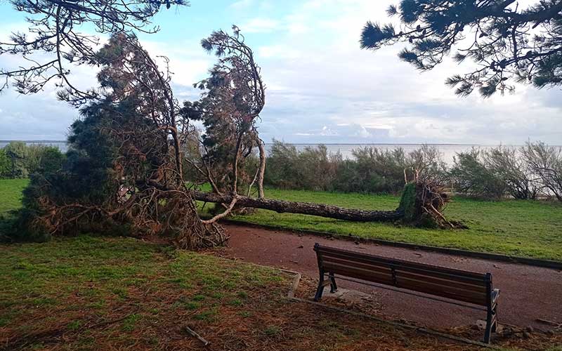 Saint-Nazaire : après la tempête, les parcs et jardins restent interdits jusqu’à jeudi