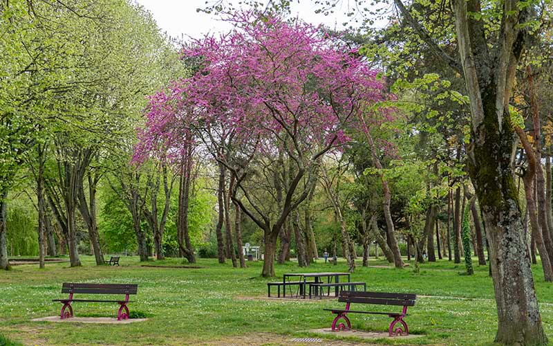 Saint-Nazaire : l’interdiction d’accès aux espaces boisés est prolongée