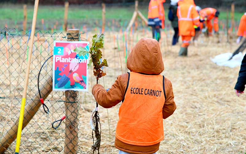 À Saint-Nazaire, une nouvelle micro-forêt sera plantée chaque année