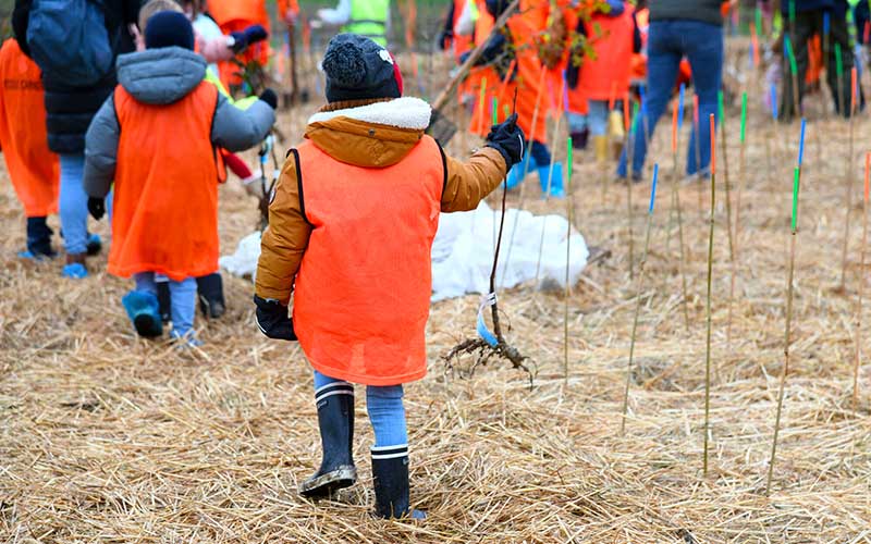 À Saint-Nazaire, une nouvelle micro-forêt sera plantée chaque année