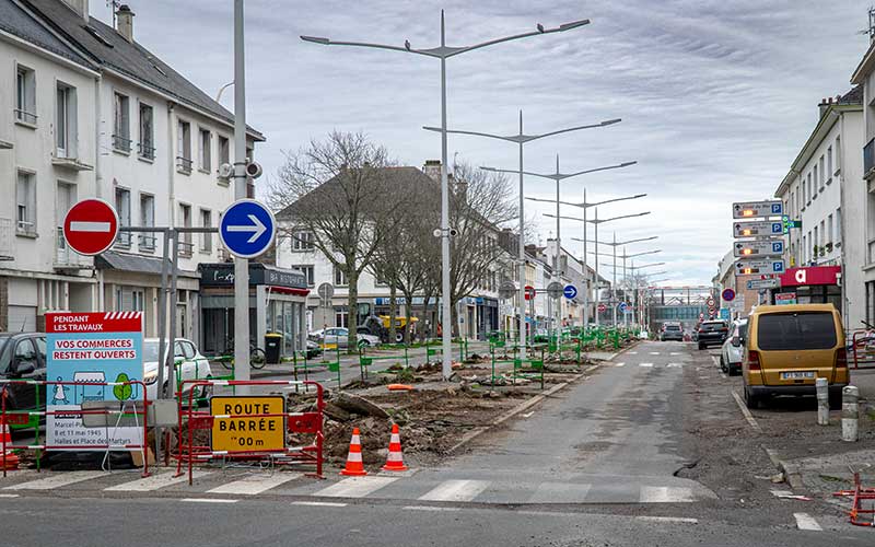 Saint-Nazaire : pourquoi tous ces arbres abattus avenue Albert de Mun ?