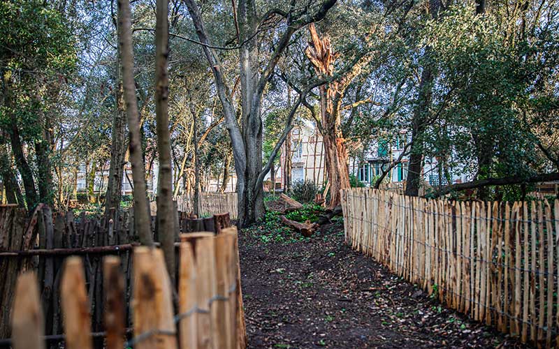 Pornichet : le Bois des Evens sort de son sommeil et s’ouvre au public