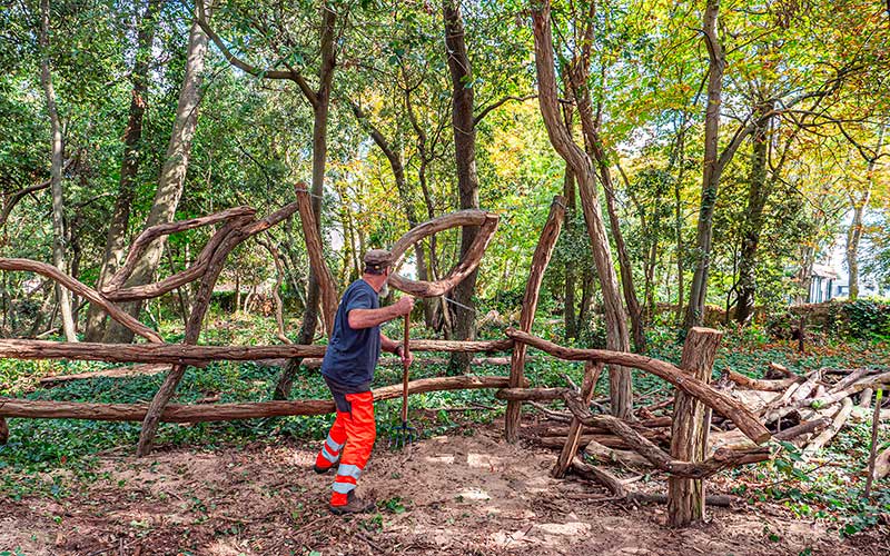Pornichet : le Bois des Evens sort de son sommeil et s’ouvre au public