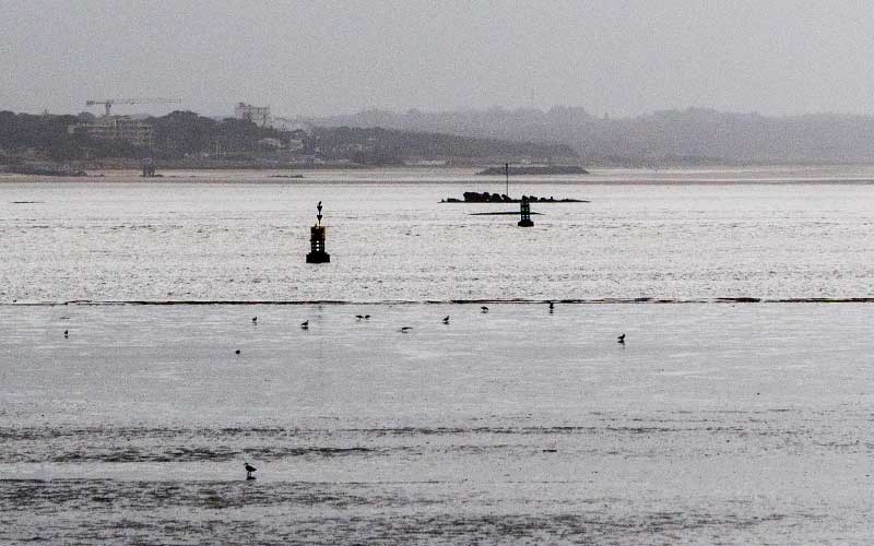 Saint-Nazaire : à quoi ressemble la marée basse avec un coefficient 116 ?