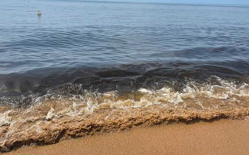 Pornichet : la teinte marron de la mer dûe à des microalgues sans danger pour la baignade