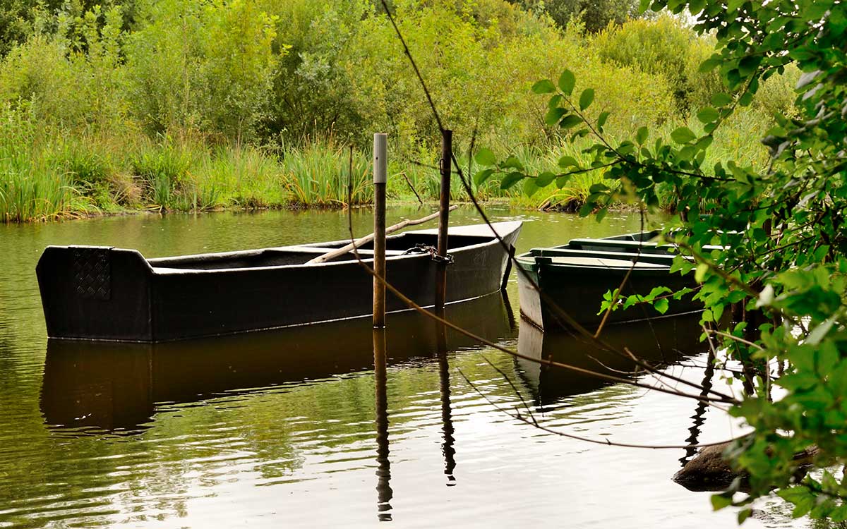 Port de Rozé : une parade de 50 chalands pour les 20 ans des mariniers de Brière et du Brivet
