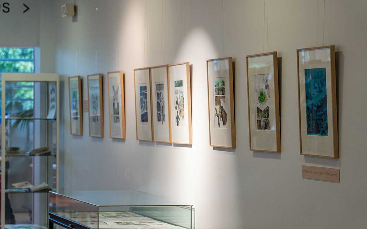 Saint-Nazaire : l’exposition BD “Par La Force des Arbres” est à découvrir à la Médiathèque