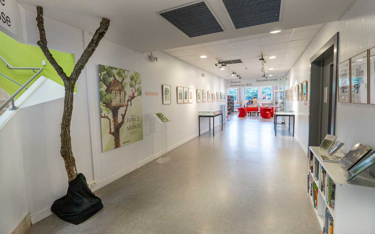Saint-Nazaire : l’exposition BD “Par La Force des Arbres” est à découvrir à la Médiathèque
