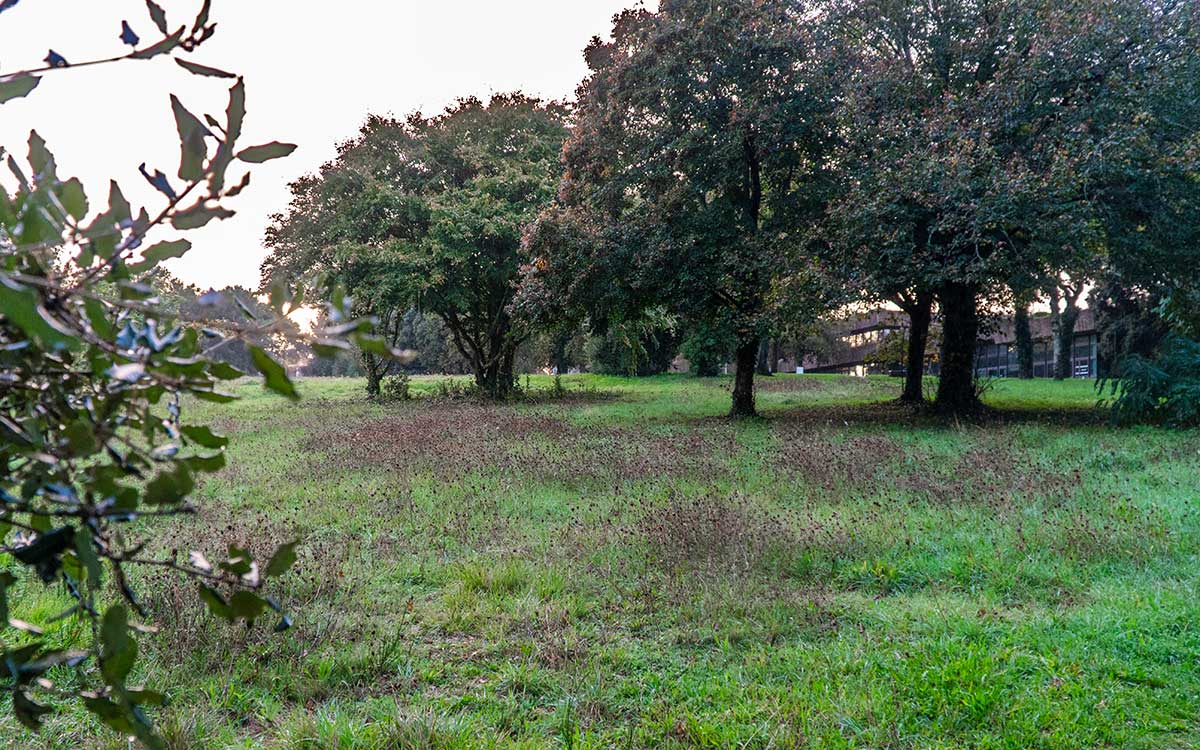 Saint-Nazaire : les opposants au projet immobilier de Gavy veulent afficher leur grogne devant la mairie