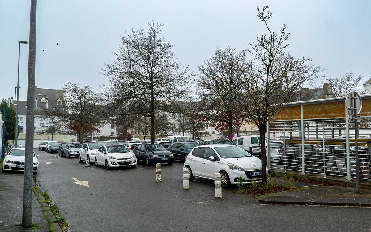 Saint-Nazaire : 14 arbres abattus et 10 transplantés pour le parking à étages