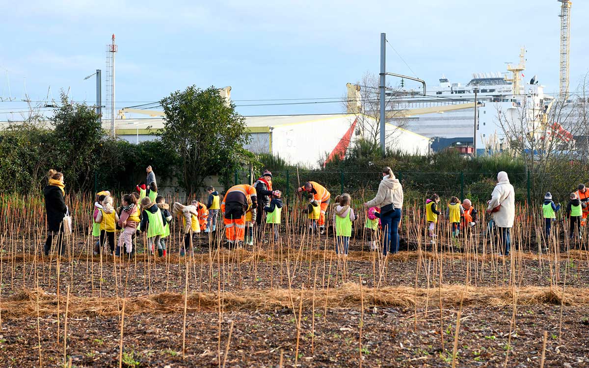 Saint-Nazaire : une micro-forêt plantée à l’entrée de la ville