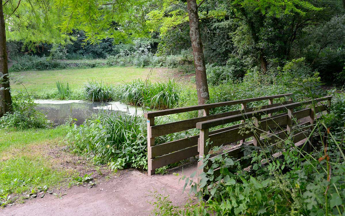 Saint-Nazaire : le ruisseau de Porcé va retrouver un écoulement plus naturel