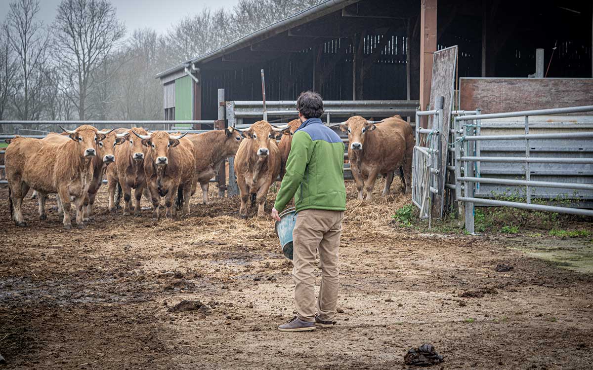 Saint-Nazaire : à 34 ans, Thomas Debray reprend le flambeau de la ferme bio du Pré des Champs