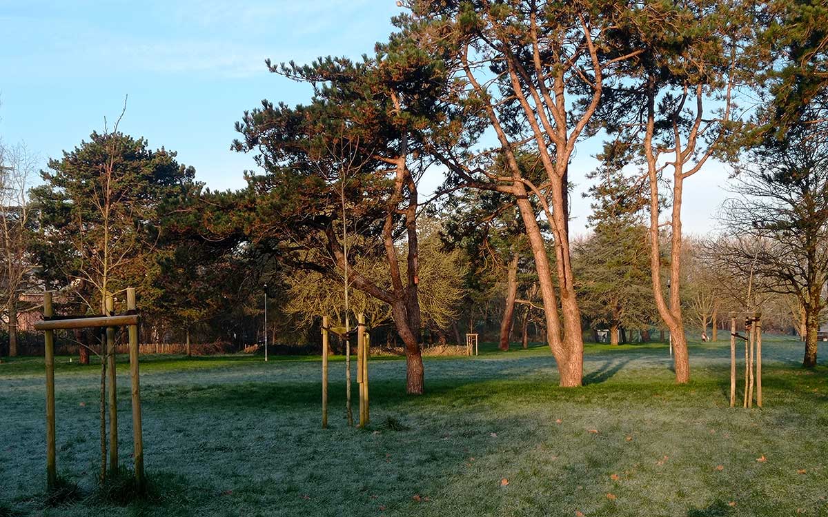 Saint-Nazaire : 26 peupliers abattus, avant de donner un nouveau souffle au Parc paysager