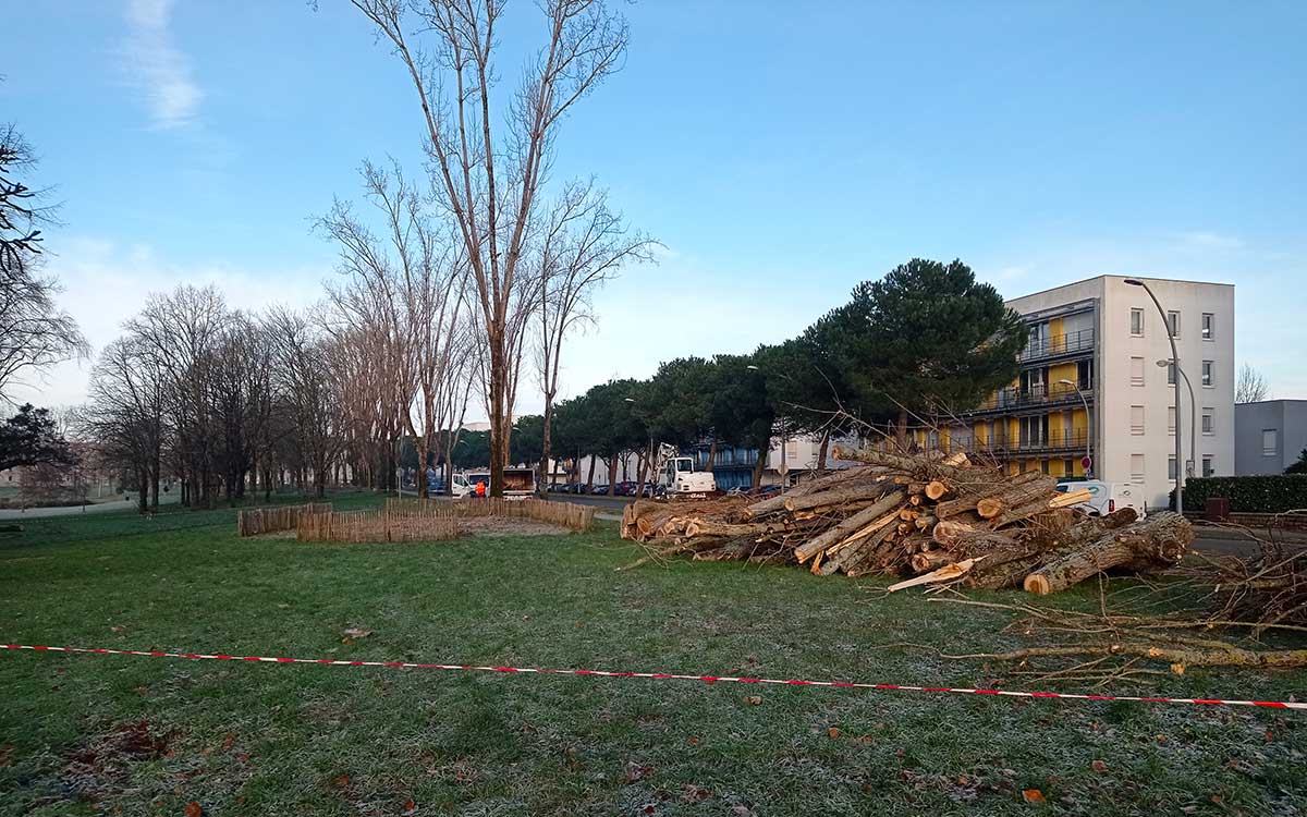 Saint-Nazaire : 26 peupliers abattus, avant de donner un nouveau souffle au Parc paysager