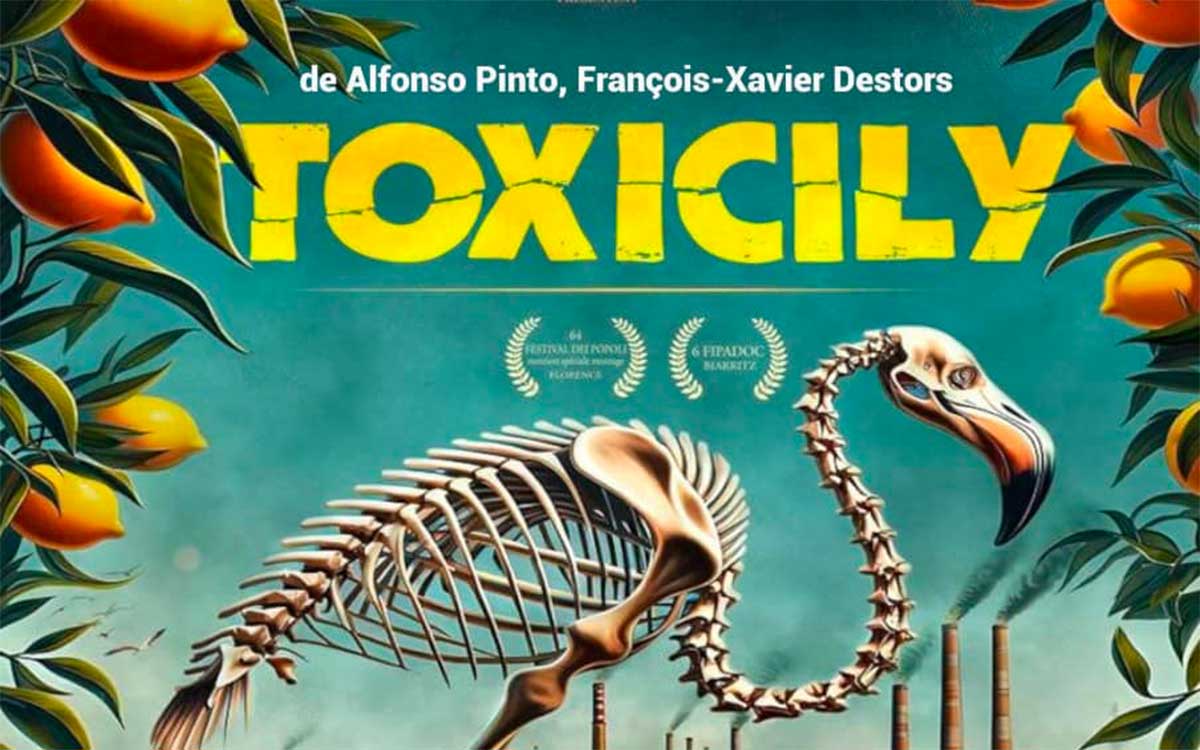 Saint-Nazaire : projection et débat autour du documentaire Toxicily