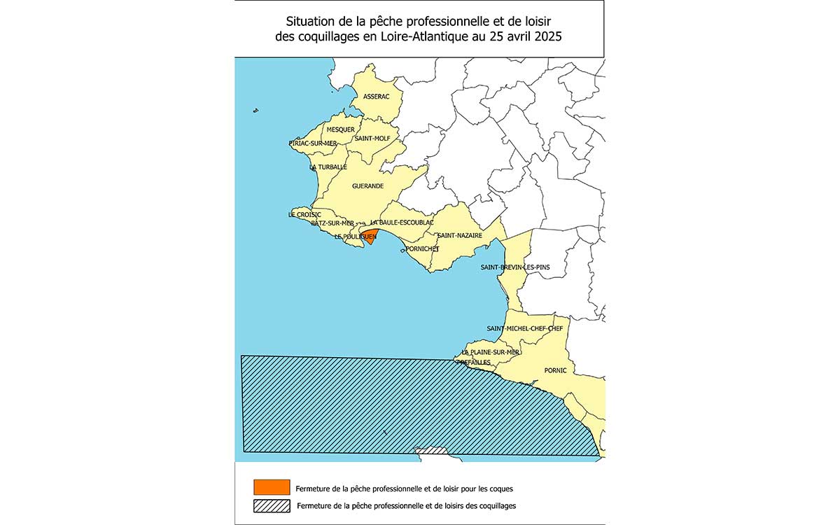 Loire-Atlantique : 4 jours de grandes marées sur le littoral, où peut-on pêcher à pied ?