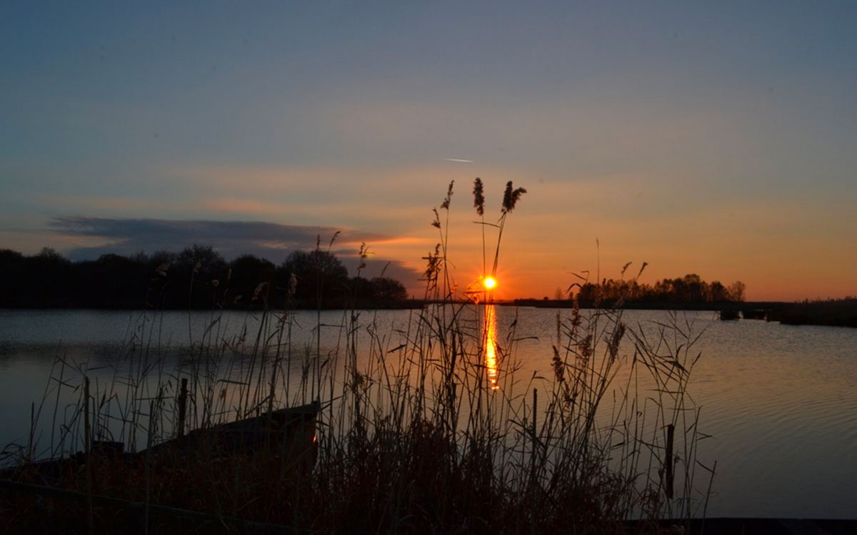 Le Parc naturel régional de Brière passe la nuit à la loupe dans une enquête