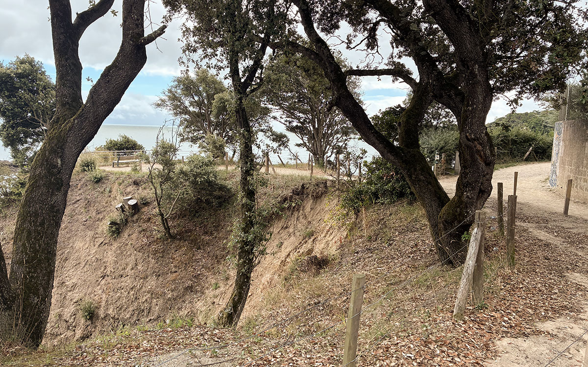 Saint-Nazaire : pourquoi l’un des escaliers menant à la plage de Bonne Anse va être démoli