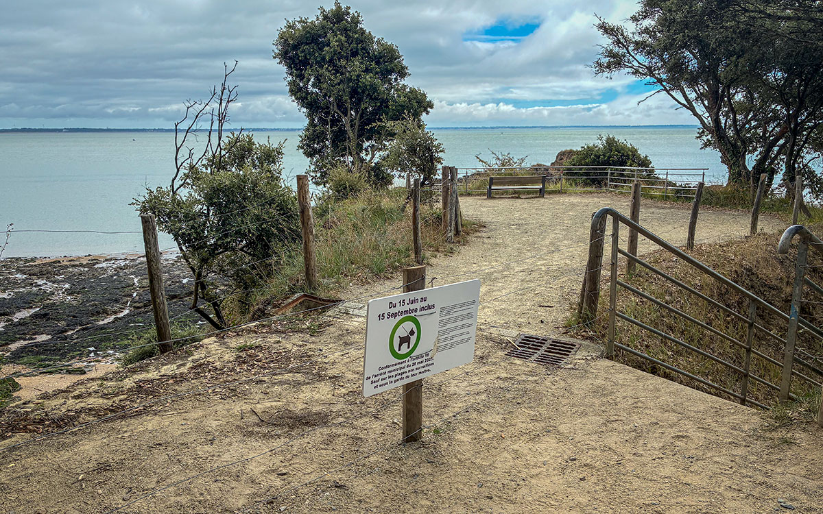 Saint-Nazaire : pourquoi l’un des escaliers menant à la plage de Bonne Anse va être démoli