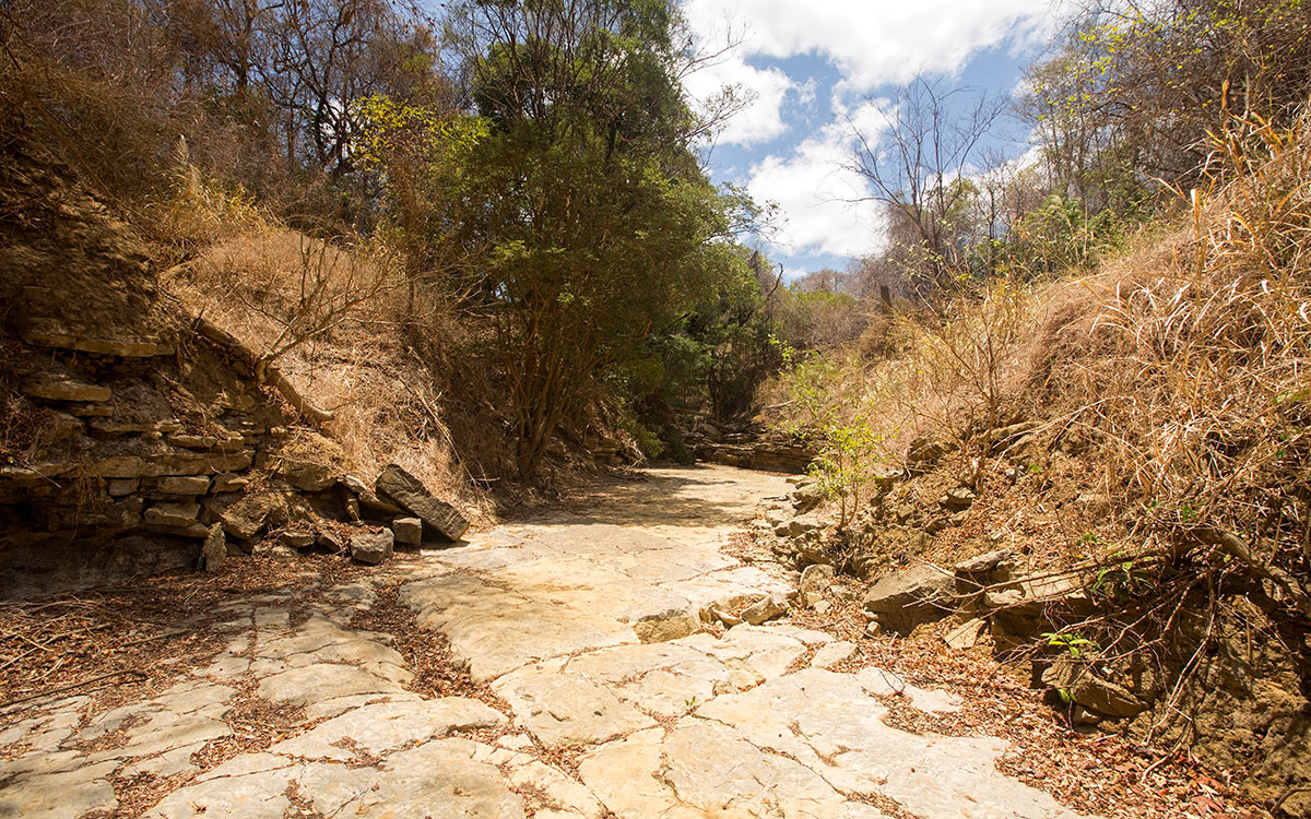 Saint-Nazaire Agglomération renforce sa coopération avec Madagascar autour de l’eau