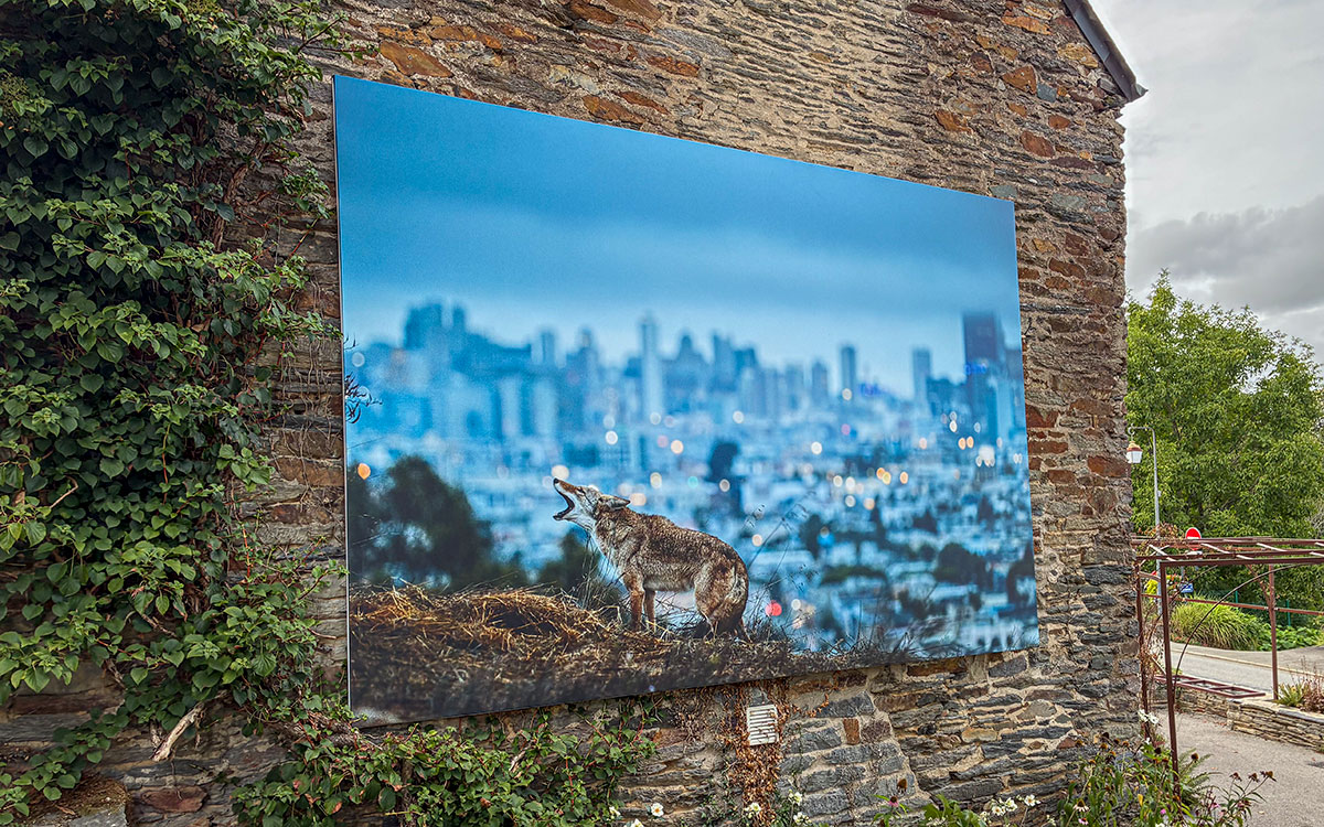 La Gacilly : le festival photo se met à l’heure anglaise