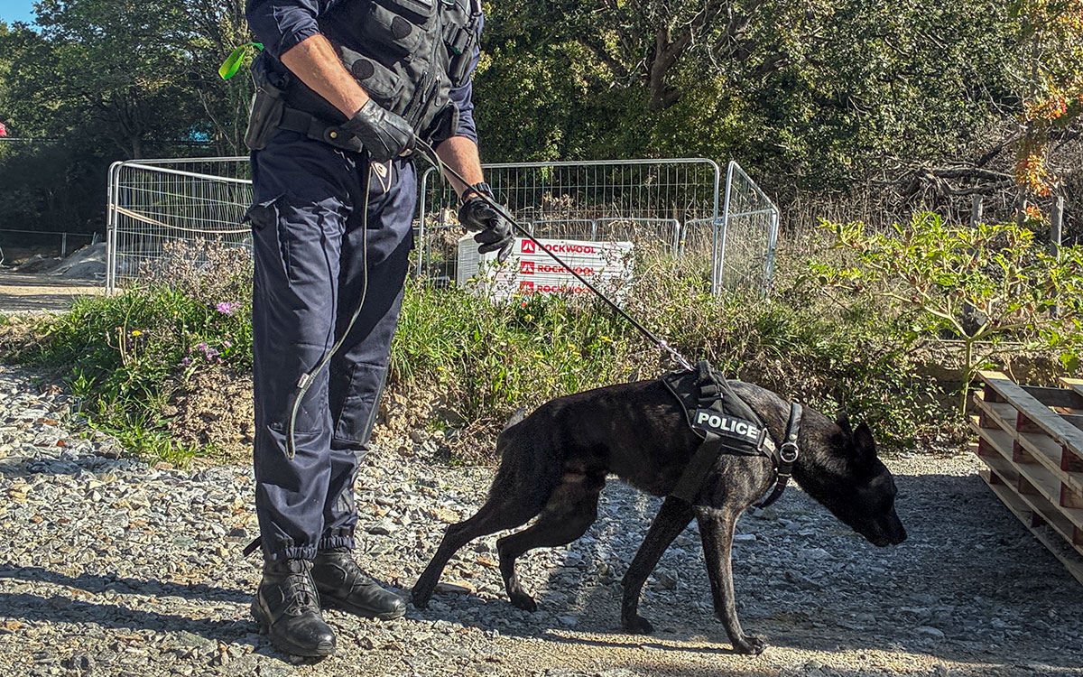 À Saint-Nazaire, l’unité cynophile mène un combat “tous azimuts” contre le trafic de stupéfiants