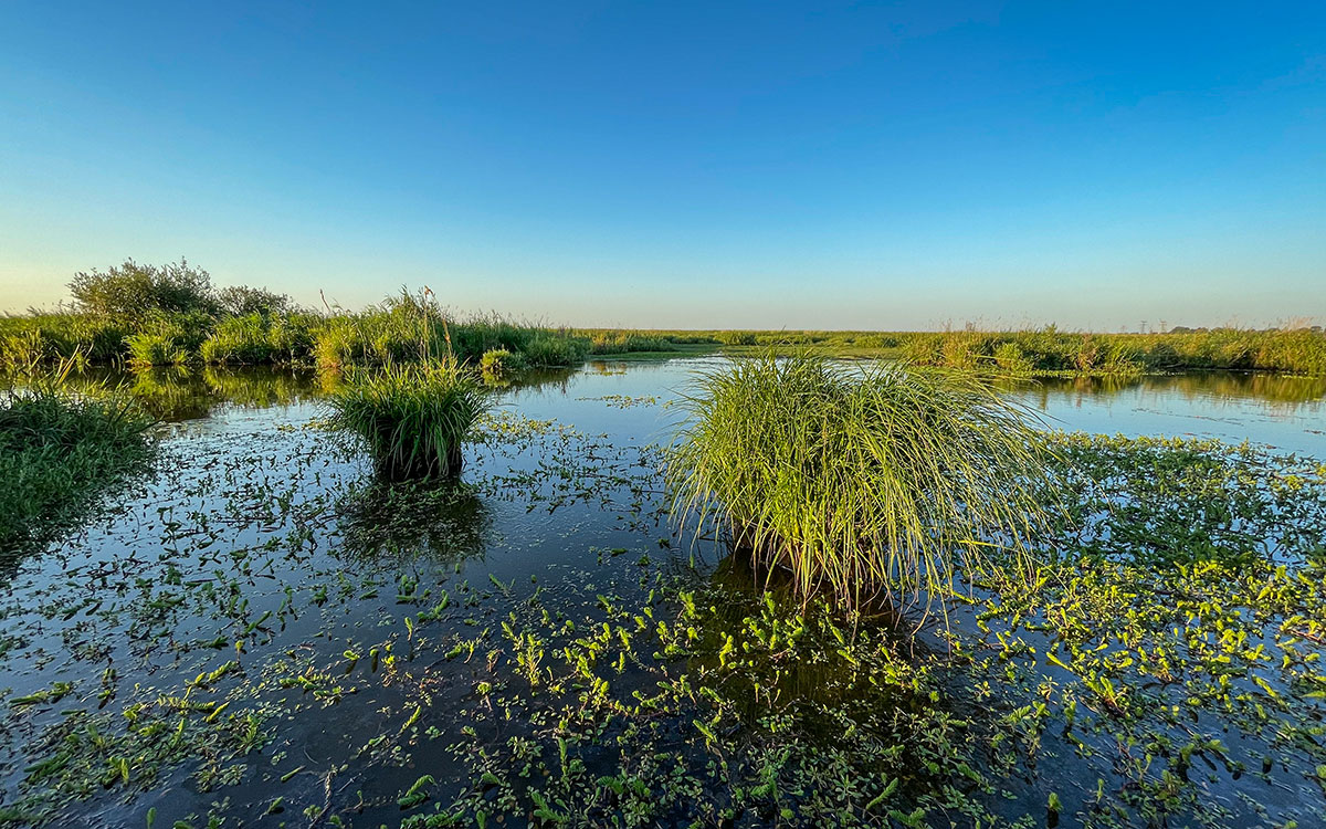 La Brière devient Réserve de biosphère de l’UNESCO