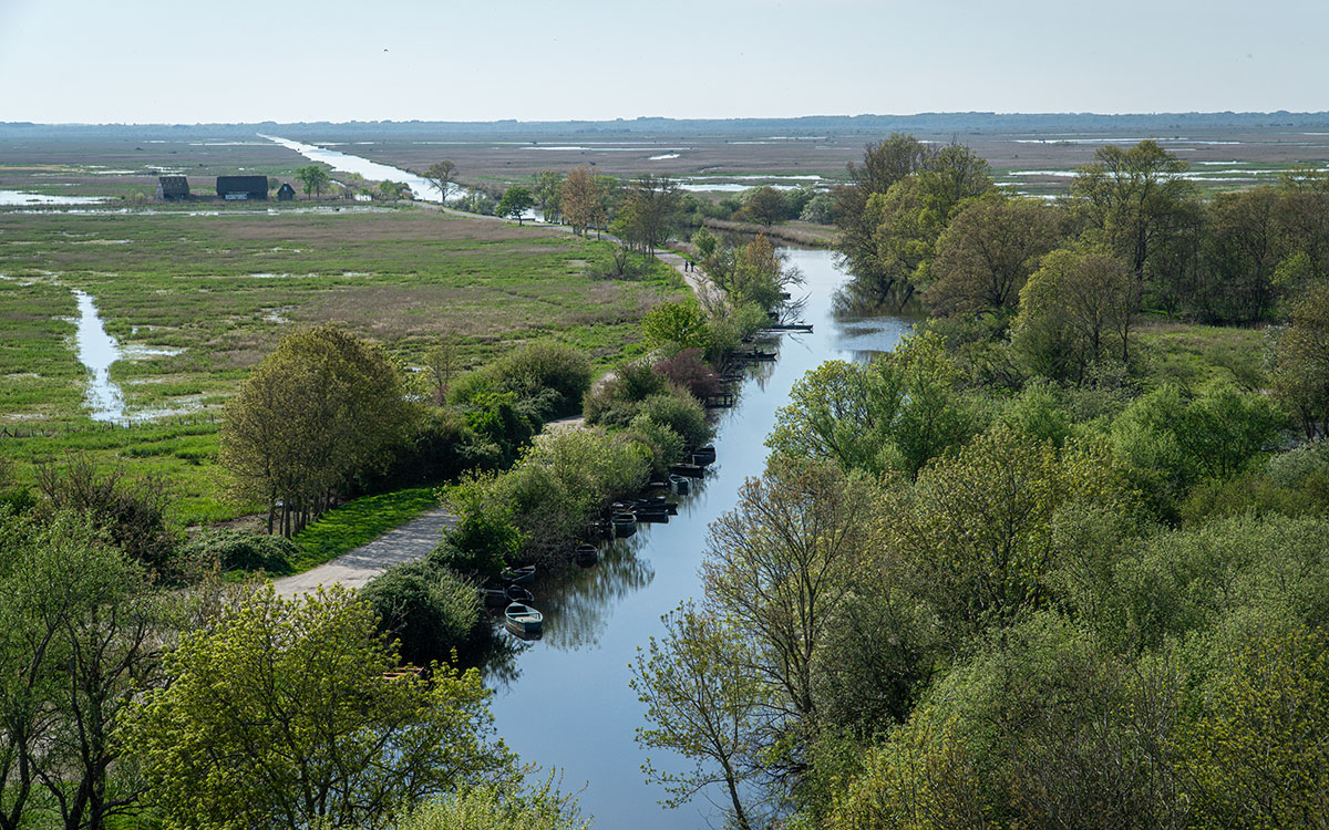 La Brière devient Réserve de biosphère de l’UNESCO