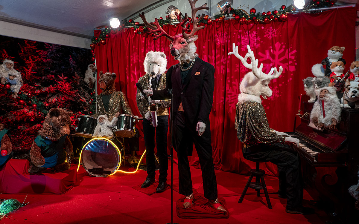 Noël Magique à La Baule : visite en vidéo de l’univers fantastique des animaux
