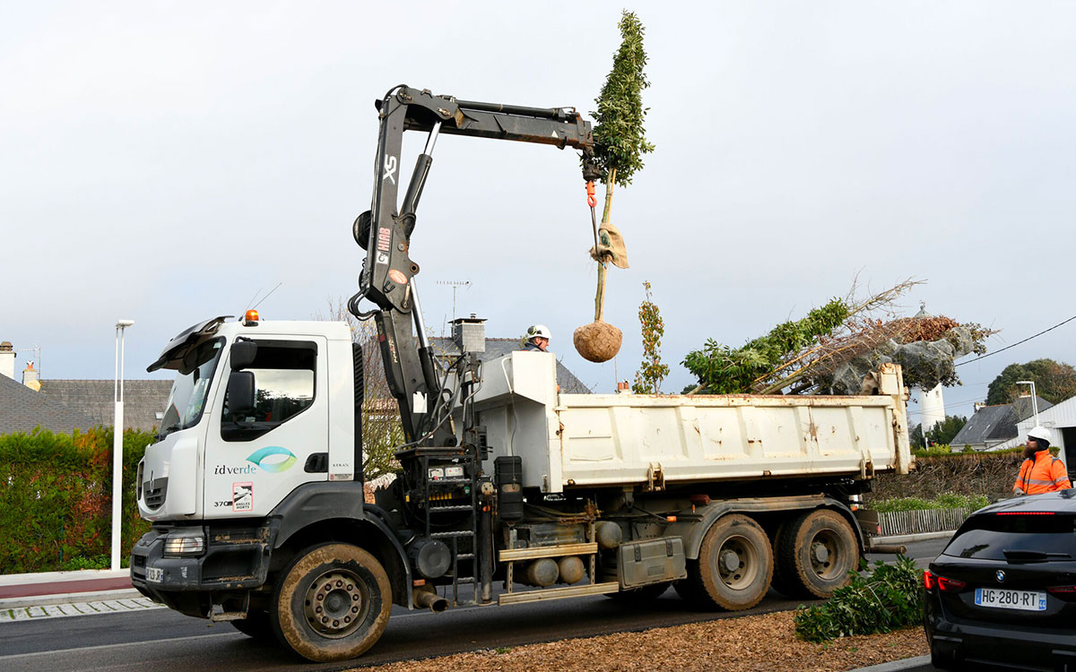 Saint-Nazaire : 600 arbres d’Italie viennent embellir l’entrée Ouest de la Ville