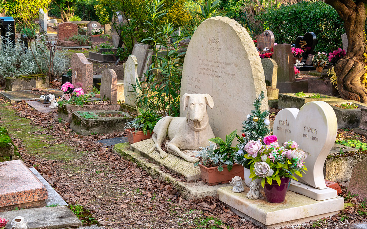 Municipales à Saint-Nazaire : qui sont ces 2 candidats qui proposent un cimetière pour animaux ?
