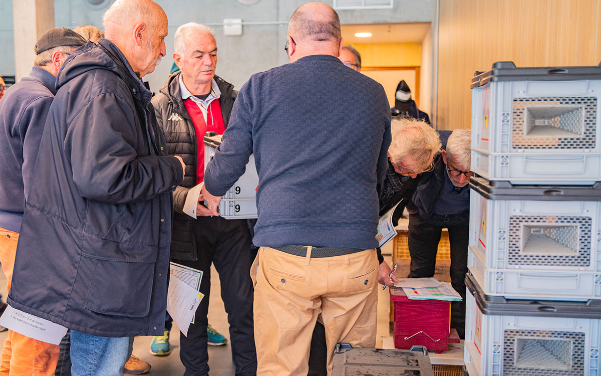 Pornichet : remise de pièges contre les frelons asiatiques aux habitants