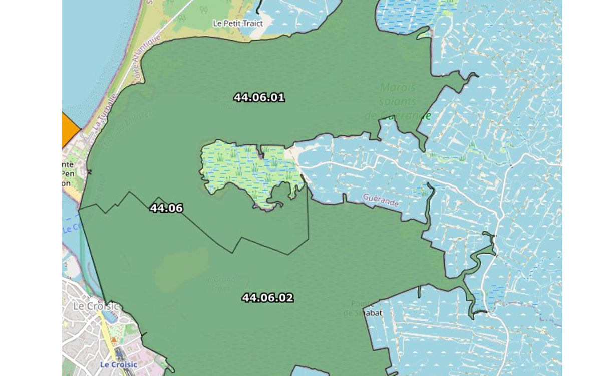 Dans le Traict du Croisic et l’Estuaire de la Loire, interdiction de pêche des coques et palourdes