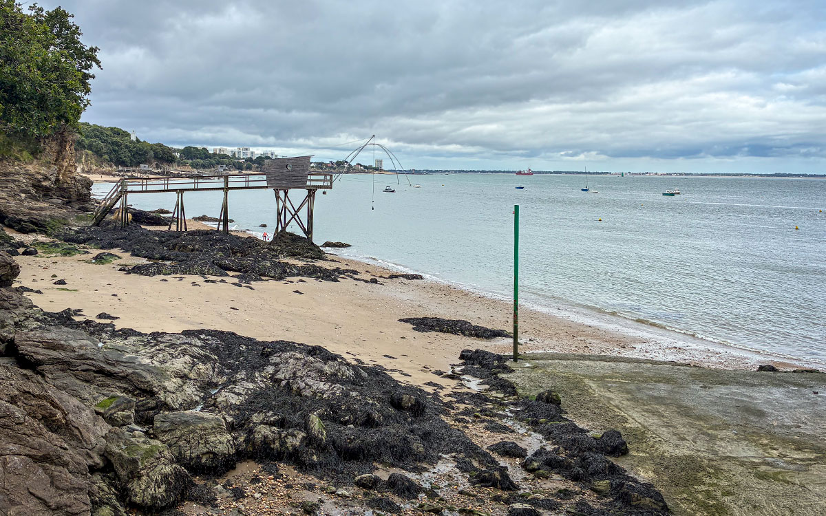Dans le Traict du Croisic et l’Estuaire de la Loire, interdiction de pêche des coques et palourdes