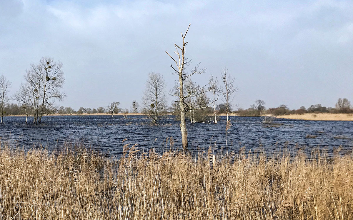 À Donges, l’État de Catastrophe Naturelle reconnu pour les crues et inondations de février