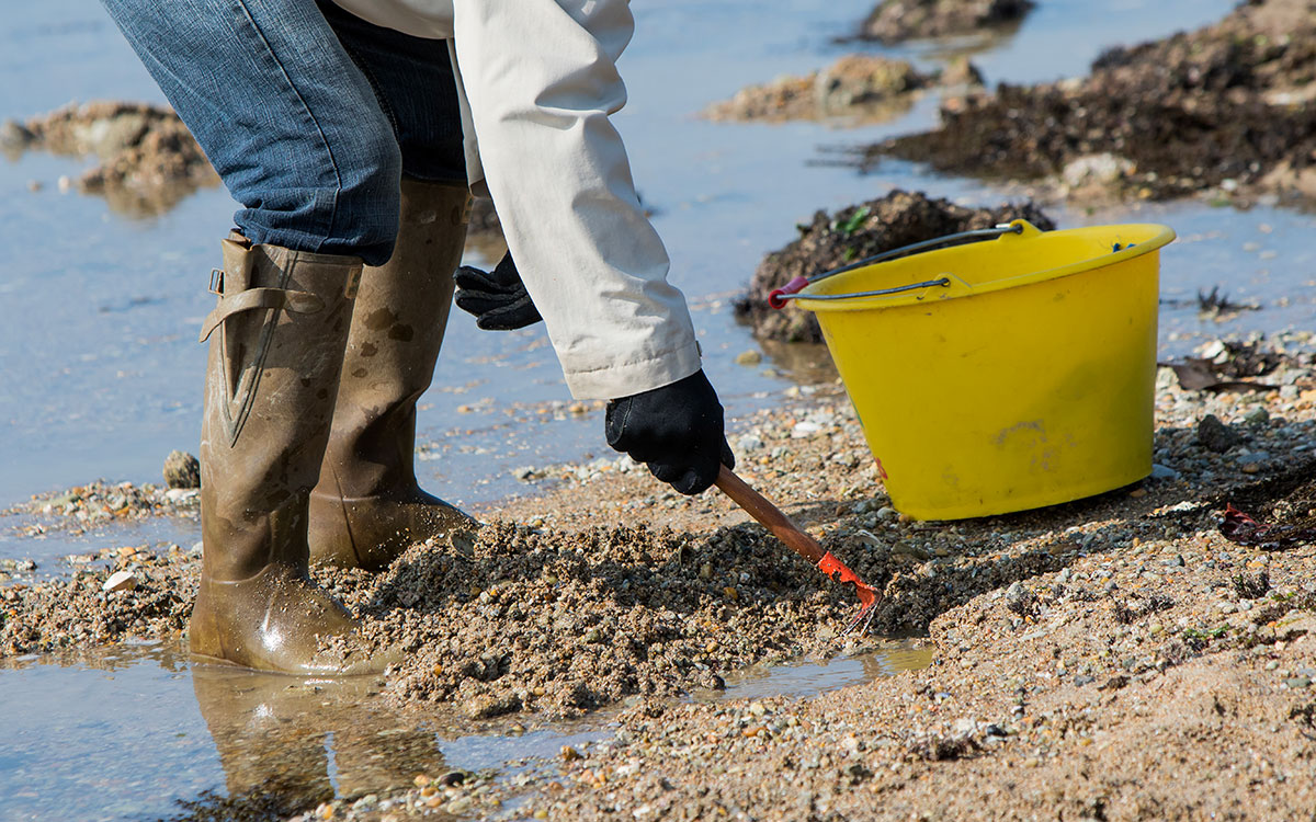 Loire-Atlantique : réouverture de la pêche dans le Traict du Croisic